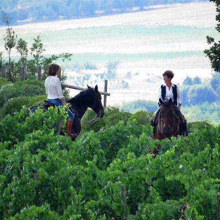 Castello Banfi - Il Borgo - Relais Et Chateaux Poggio alle Mura Luaran gambar