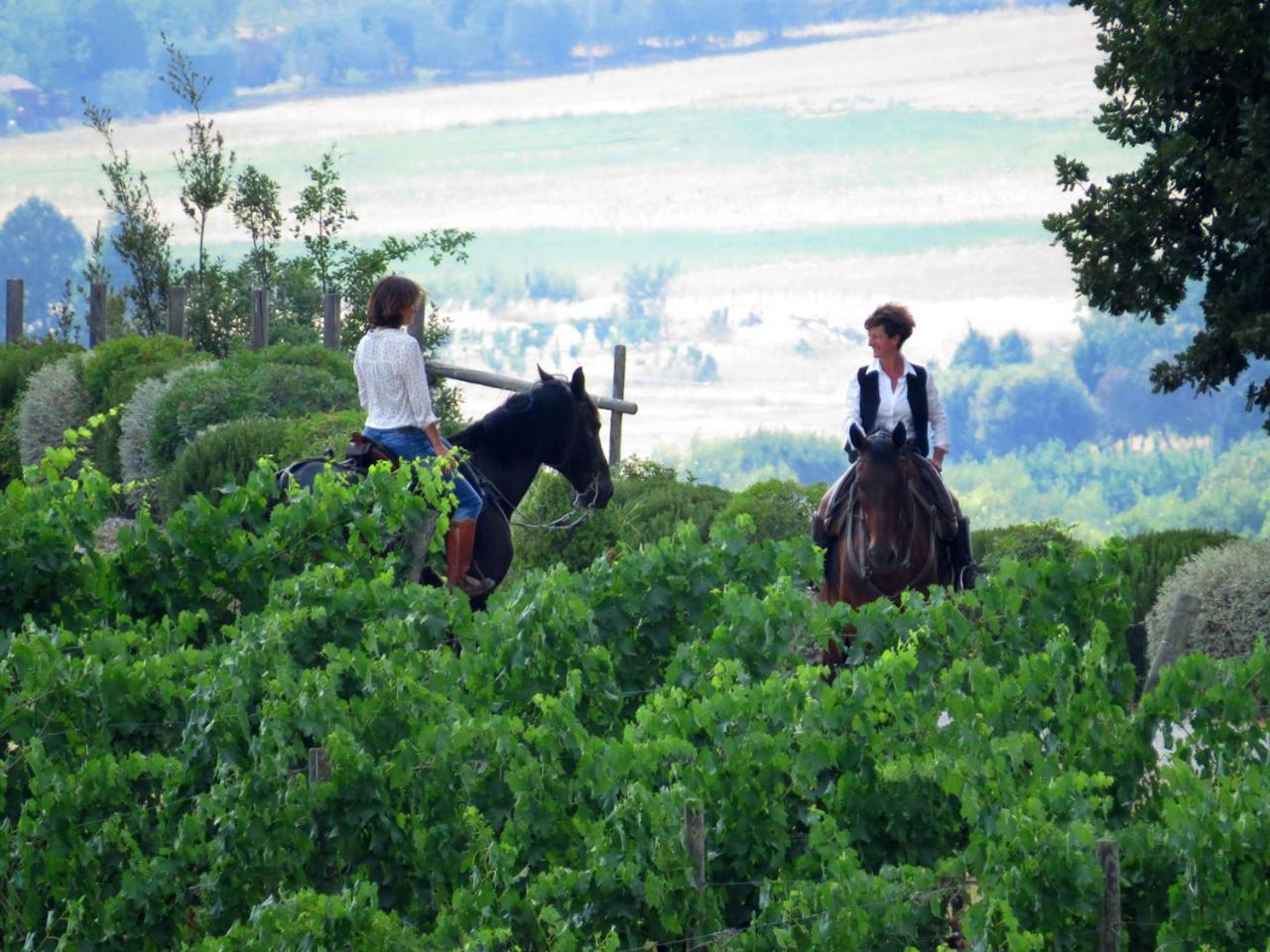 Castello Banfi - Il Borgo - Relais Et Chateaux Poggio alle Mura Luaran gambar